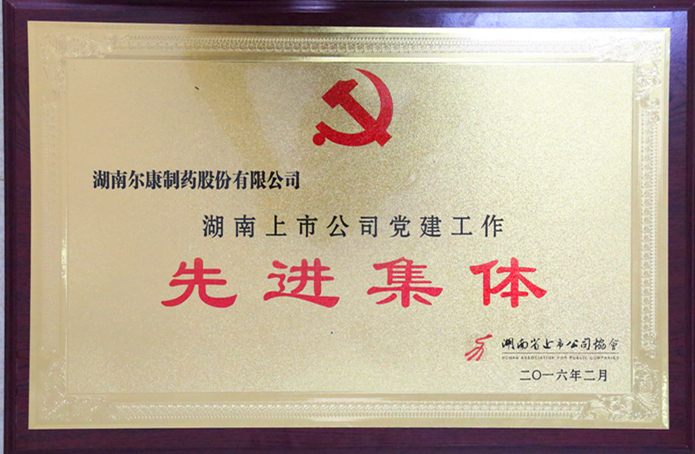 ȫѶ600cc��ײ�(�й�)���޹�˾����