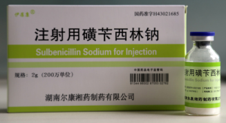 ȫѶ600cc��ײ�(�й�)���޹�˾����