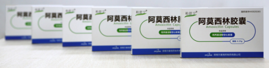 ȫѶ600cc��ײ�(�й�)���޹�˾����