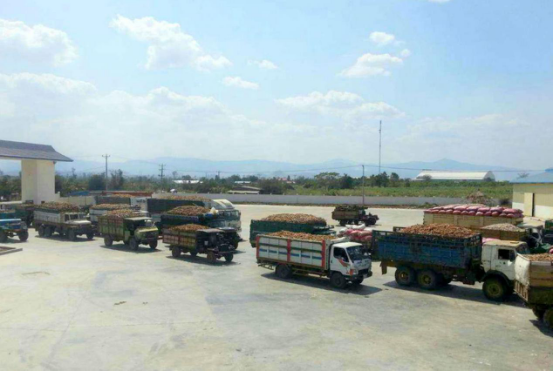 ȫѶ600cc��ײ�(�й�)���޹�˾����