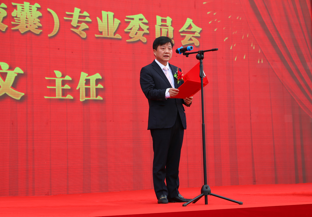 ȫѶ600cc��ײ�(�й�)���޹�˾����