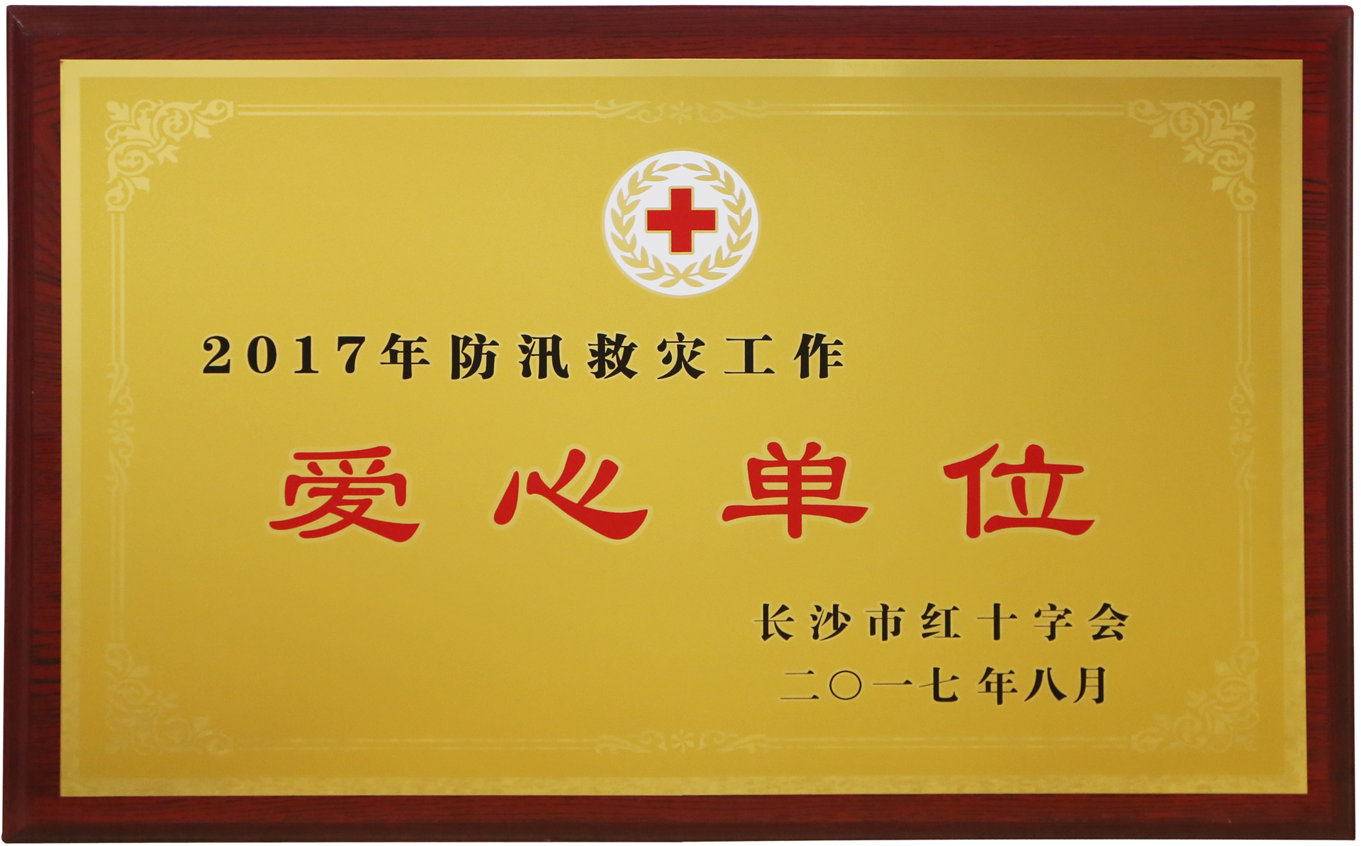 ȫѶ600cc��ײ�(�й�)���޹�˾����