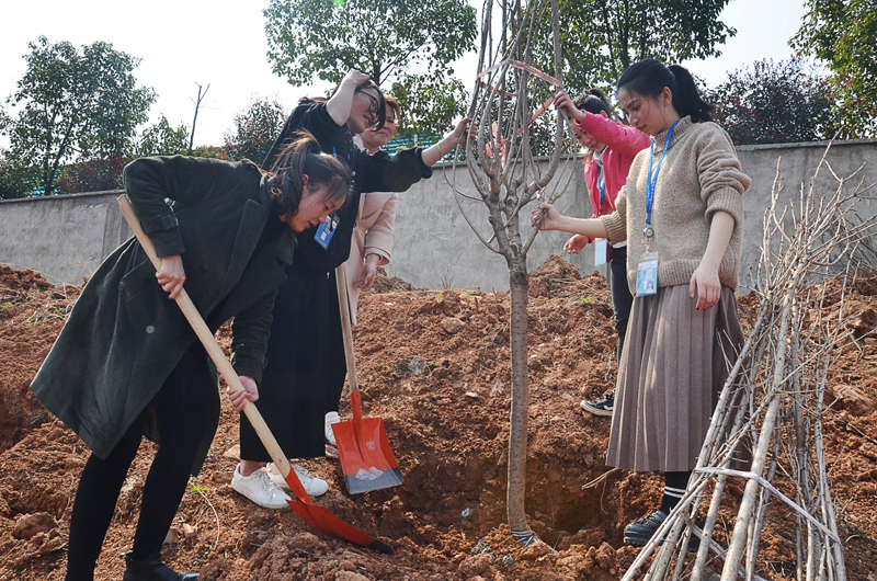 ȫѶ600cc��ײ�(�й�)���޹�˾����