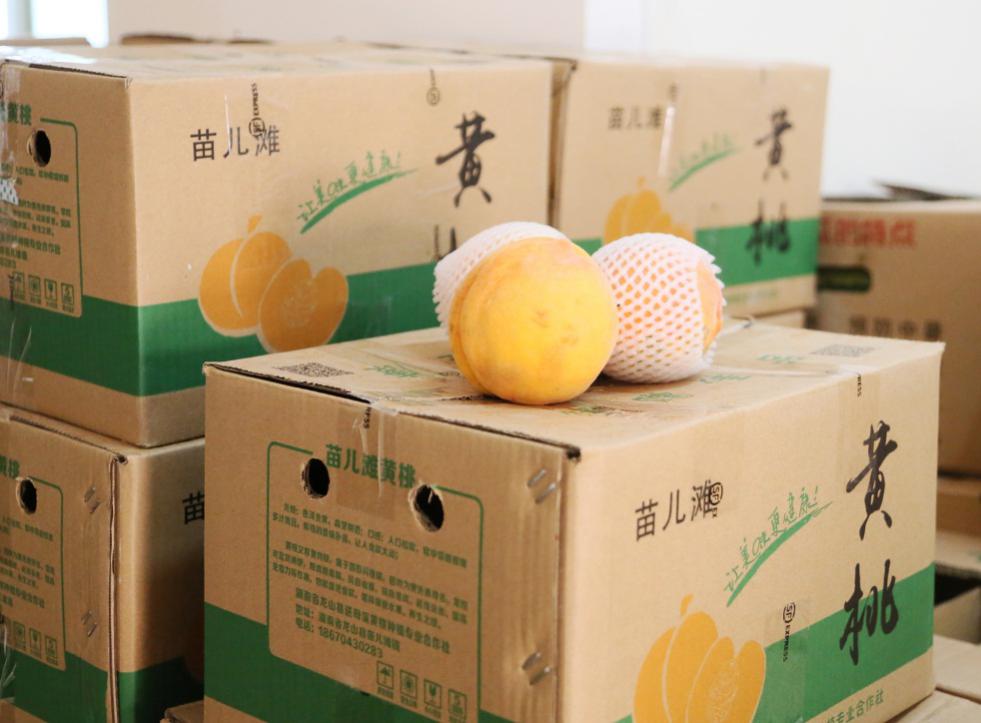 全讯600cc大白菜(中国)有限公司官网