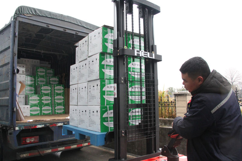 ȫѶ600cc��ײ�(�й�)���޹�˾����