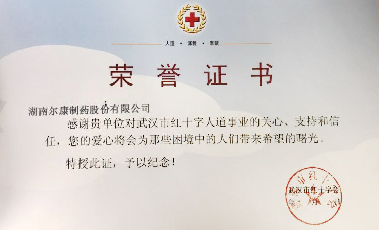 ȫѶ600cc��ײ�(�й�)���޹�˾����