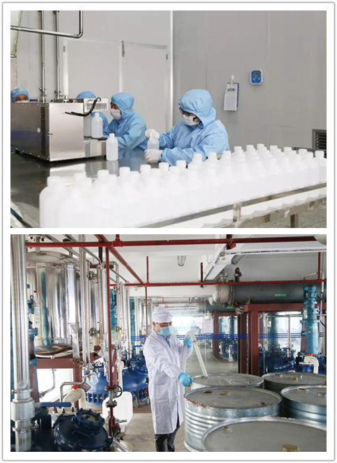 ȫѶ600cc��ײ�(�й�)���޹�˾����