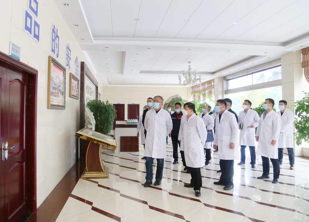 ȫѶ600cc��ײ�(�й�)���޹�˾����