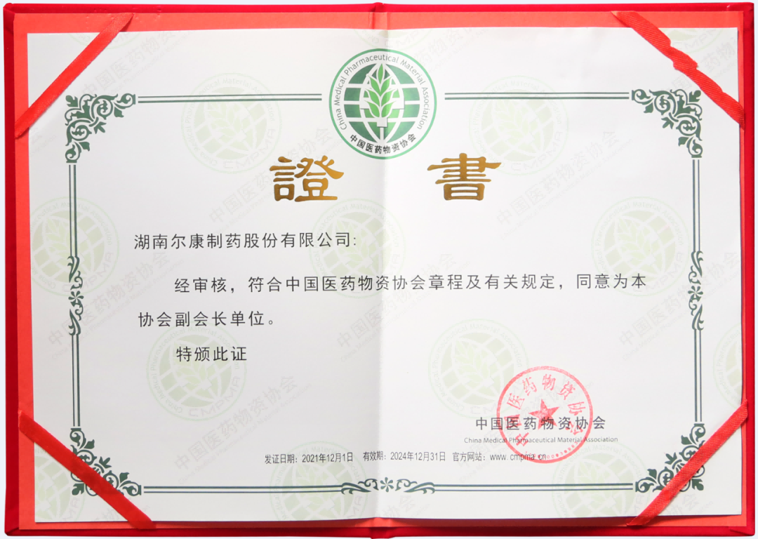 ȫѶ600cc��ײ�(�й�)���޹�˾����