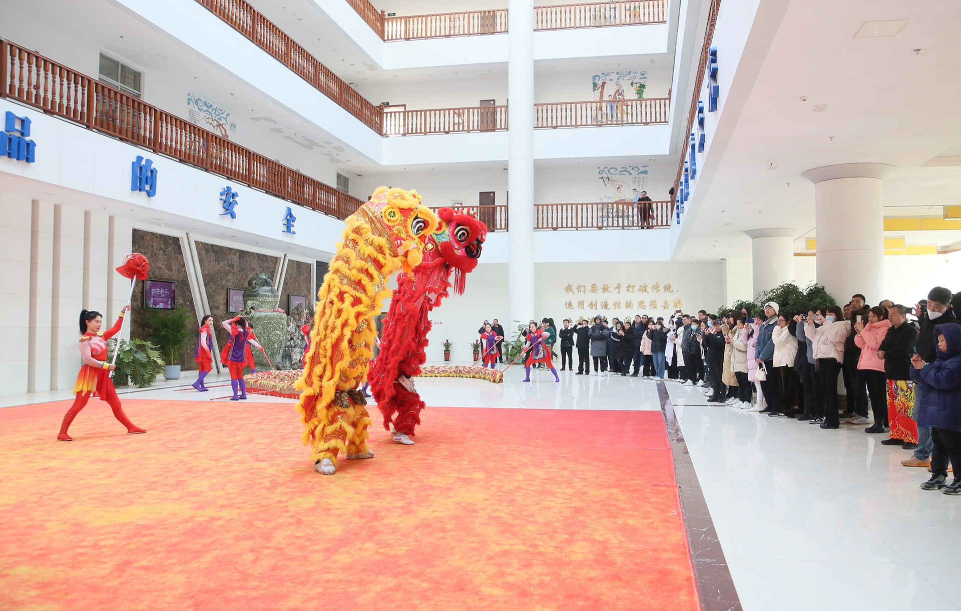 ȫѶ600cc��ײ�(�й�)���޹�˾����