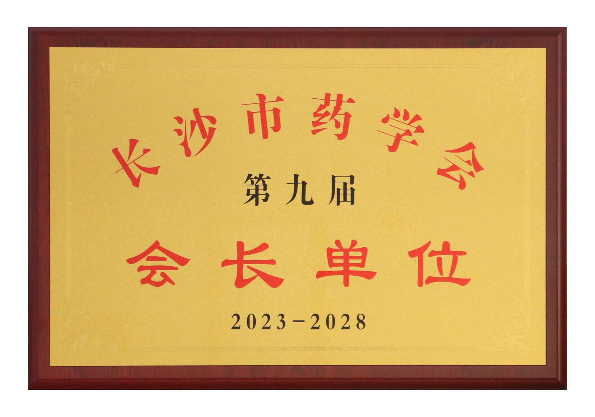 ȫѶ600cc��ײ�(�й�)���޹�˾����